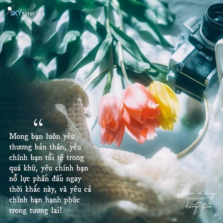 những hình ảnh đẹp ý nghĩa về cuộc sống là lựa chọn lý tưởng cho ảnh nền
