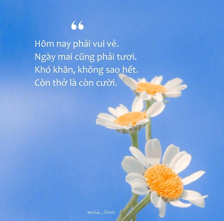 ảnh đẹp có chữ ý nghĩa về cuộc sống chạm đến trái tim người xem nhẹ nhàng