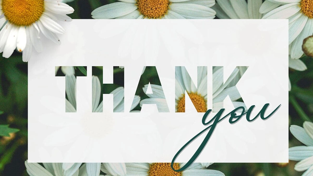 Khép lại ấn tượng với lý do nên làm ảnh nền thank you for watching