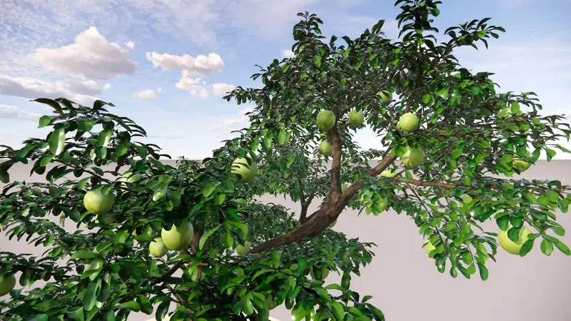 Kinh nghiệm chăm sóc cây đào tiên