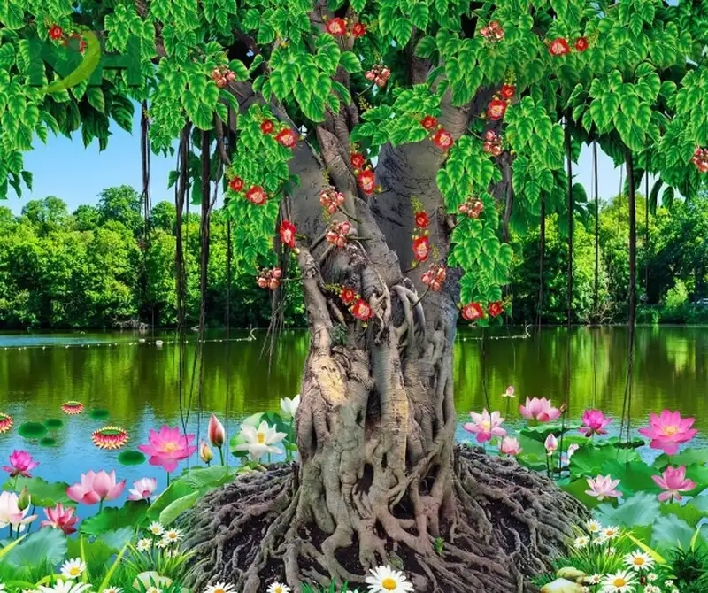 Ngắm Hoa bồ đề lá bồ đề xanh mát