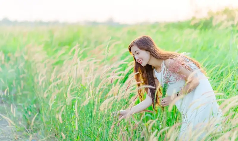 Chiêm ngưỡng hoa cỏ may buồn như nỗi nhớ dịu dàng