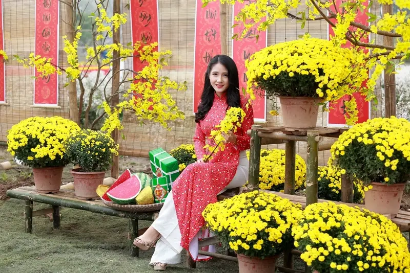 Chọn Cúc mâm xôi vàng để không gian thêm rực rỡ