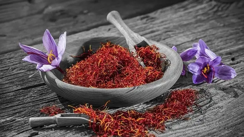 Công dụng tuyệt vời của hoa nghệ tây cho sức khỏe