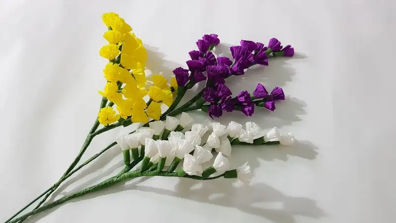 Hoa statice nở mùa nào đẹp nhất từ mùa hè đến thu