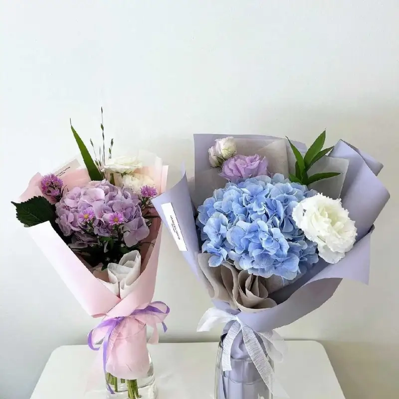 Ý nghĩa đặc biệt của hoa tú cầu mini