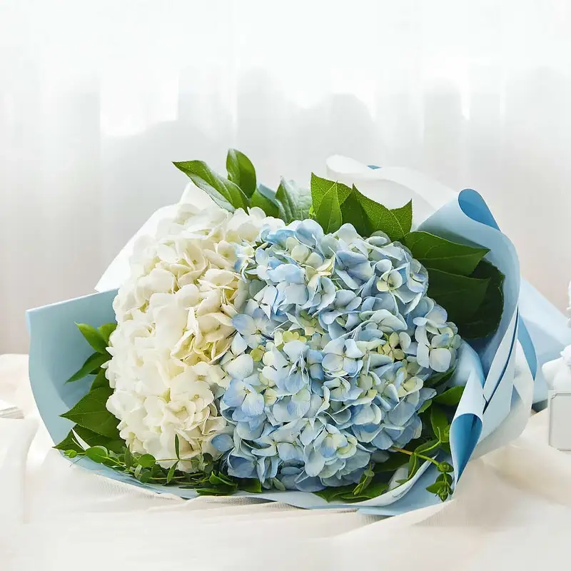 Hoa tú cầu mini trang trí tiểu cảnh tạo điểm nhấn