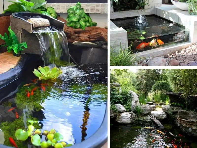 Phụ kiện trang trí hồ cá tạo điểm nhấn