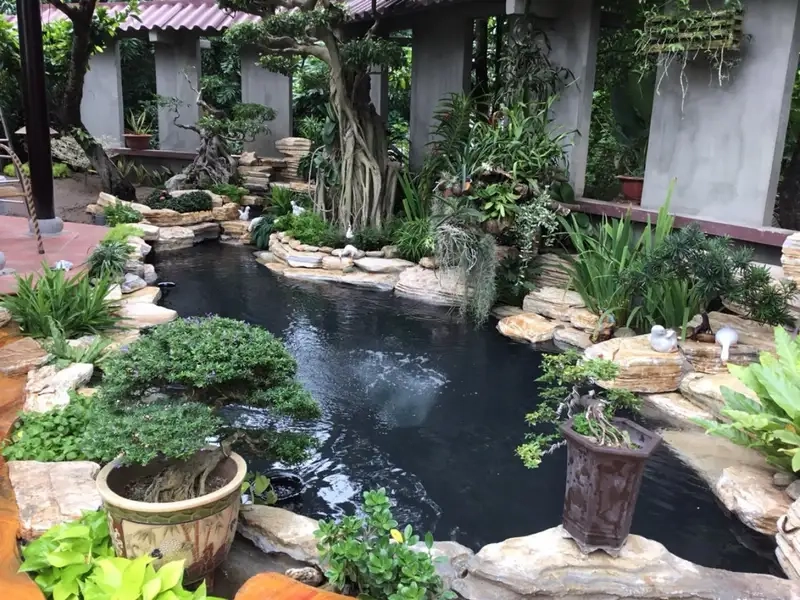 Tạo điểm nhấn với trang trí bể cá cảnh ngoài trời đẹp