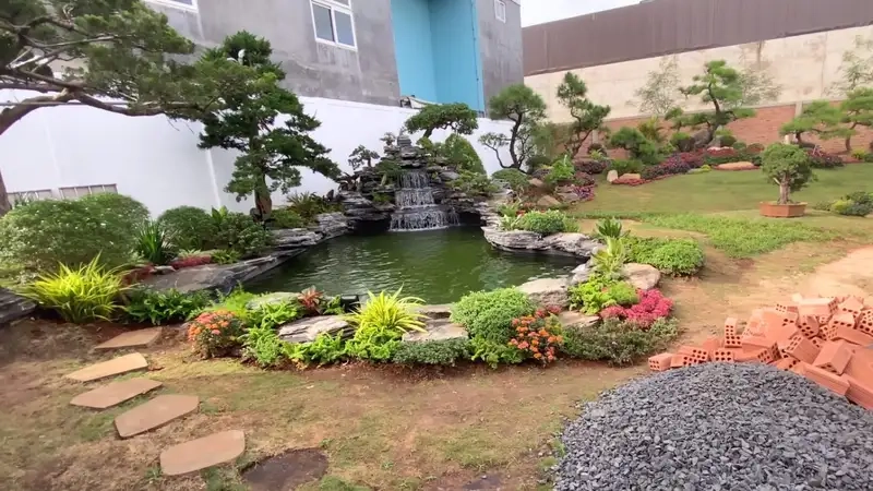 Khám phá mẫu trang trí bể cá cảnh độc đáo và sinh động