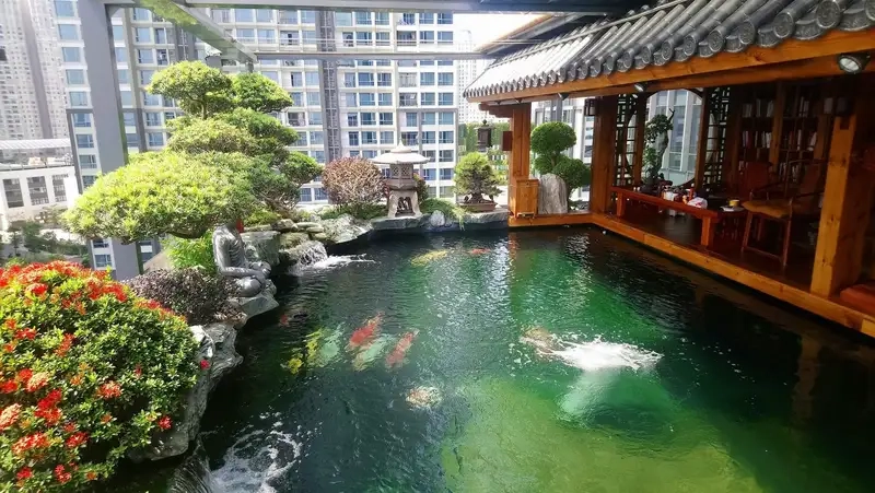 Tìm hiểu cách trang trí hồ cá cảnh đẹp cho không gian