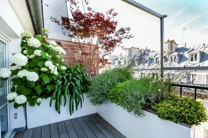 Trang trí sân thượng đẹp tạo không gian sống thoải mái