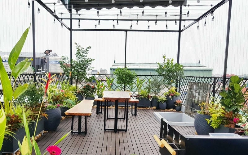 Cây trang trí sân thượng tạo điểm nhấn xanh cho không gian