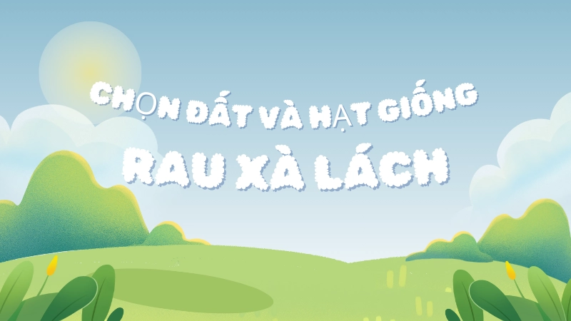 Chậu đất trồng rau tơi xốp được trộn đều với xơ dừa