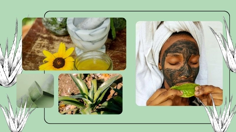 Bí quyết sử dụng nha đam để da đẹp rạng rỡ nhanh chóng